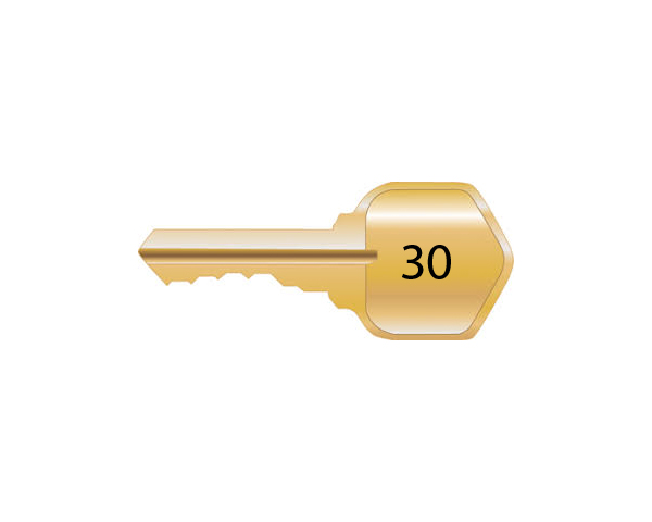 License Key (30) Sessions
